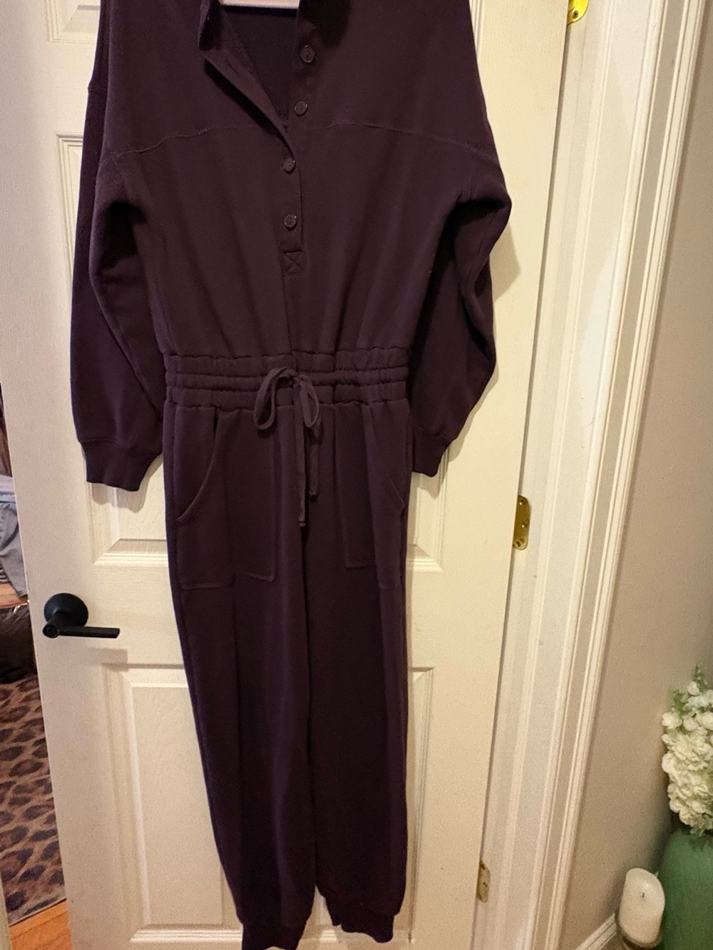 American Eagle Outfitters Long Sleeve Drawstring Jumpsuit Dress - Plum